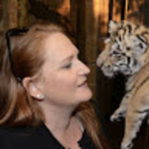 Meet your Posher, Ally